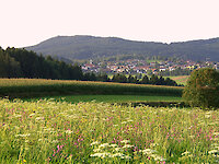 Urlaub im Bayerischen Wald